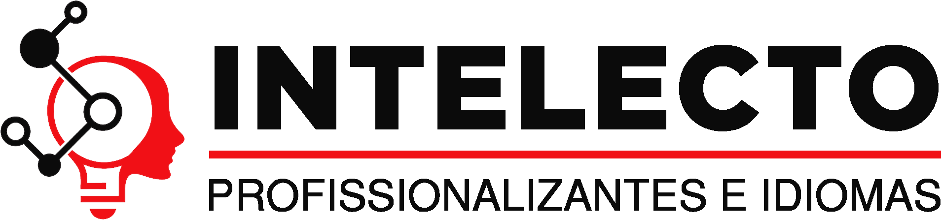 Intelecto Profissionalizantes e Idiomas